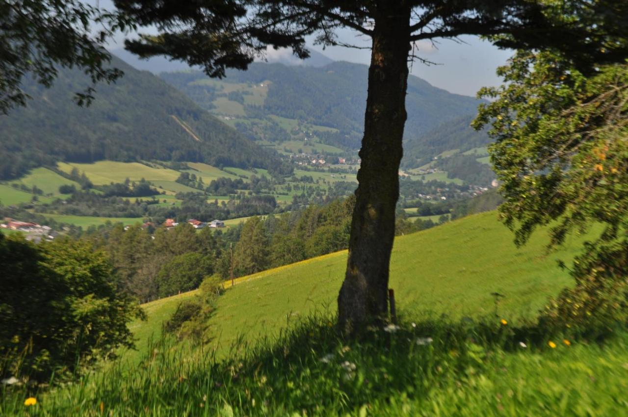 Fruhstuckspension Bischof I D Wiesen Sankt Peter am Kammersberg Dış mekan fotoğraf
