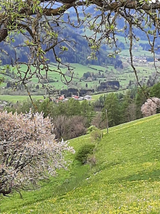 Fruhstuckspension Bischof I D Wiesen Sankt Peter am Kammersberg Dış mekan fotoğraf
