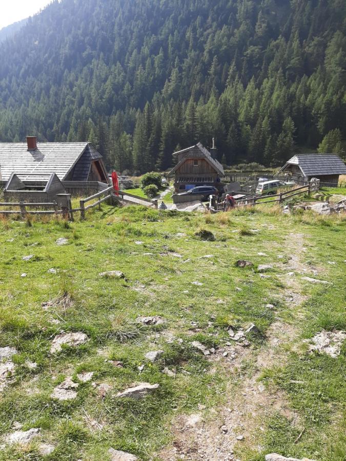 Fruhstuckspension Bischof I D Wiesen Sankt Peter am Kammersberg Dış mekan fotoğraf