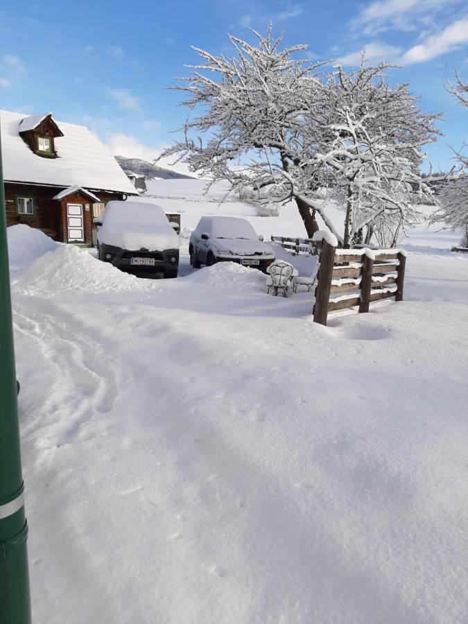 Fruhstuckspension Bischof I D Wiesen Sankt Peter am Kammersberg Dış mekan fotoğraf
