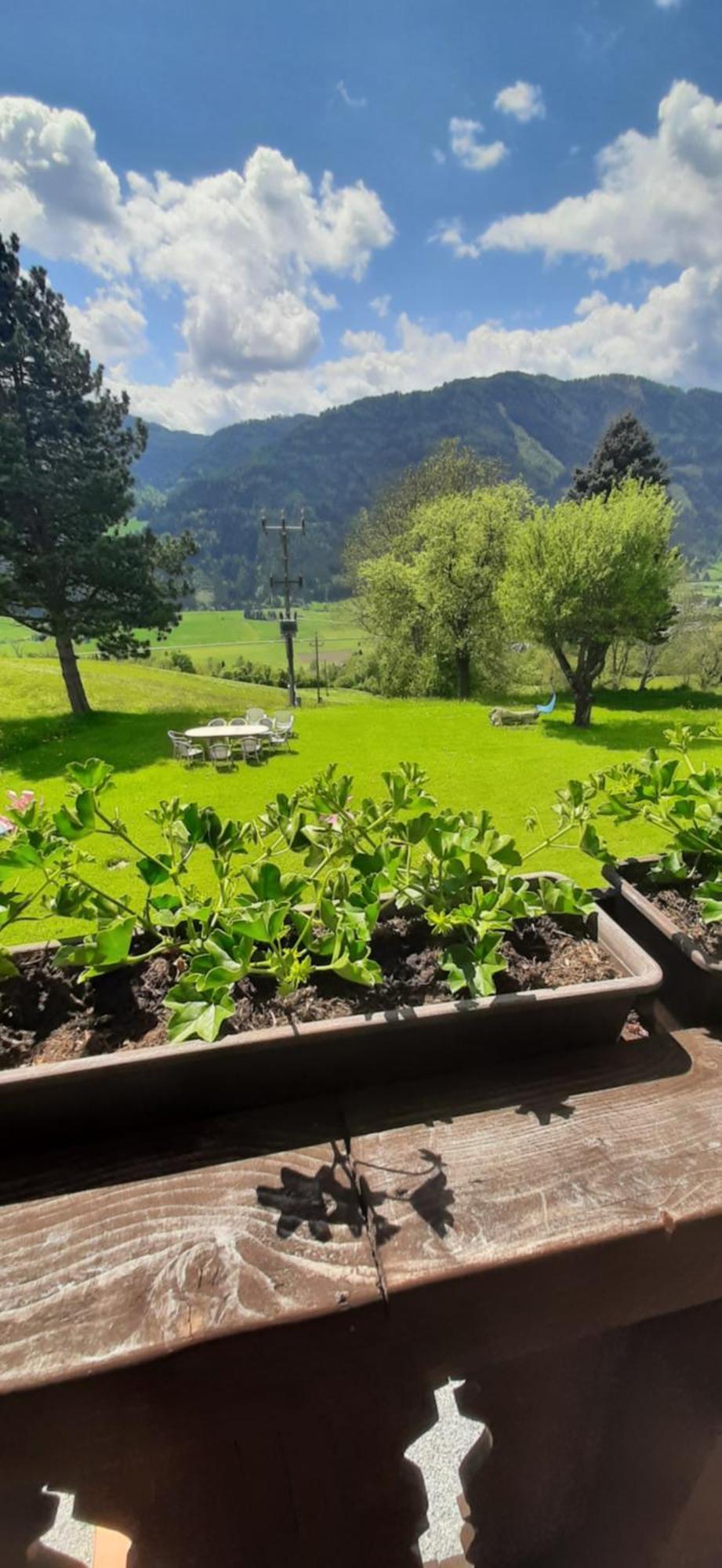 Fruhstuckspension Bischof I D Wiesen Sankt Peter am Kammersberg Dış mekan fotoğraf