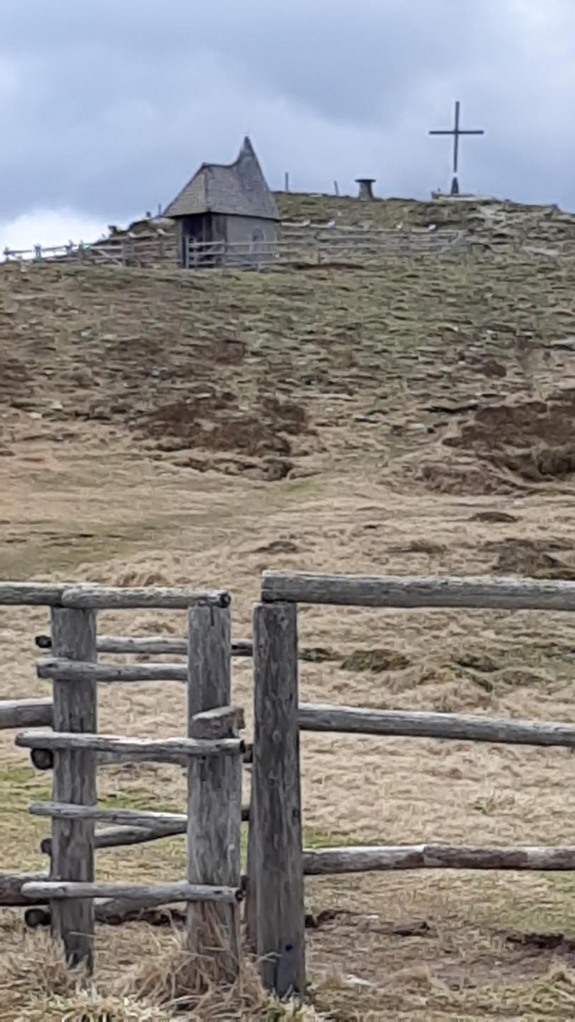 Fruhstuckspension Bischof I D Wiesen Sankt Peter am Kammersberg Dış mekan fotoğraf